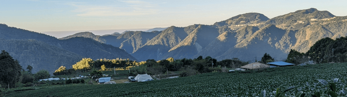 Taiwan Tea Field